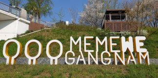 ’I Seoul You’와 ‘Me Me We 강남’이 주는 교훈