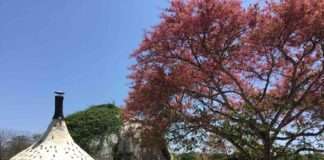 4월은 지구의 달, 자연을 온 몸으로 느끼는 전세계  에어비앤비 숙소 5