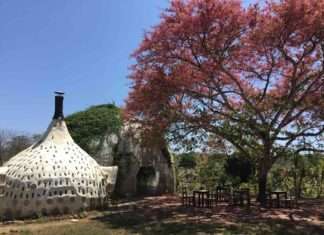 4월은 지구의 달, 자연을 온 몸으로 느끼는 전세계 에어비앤비 숙소 5