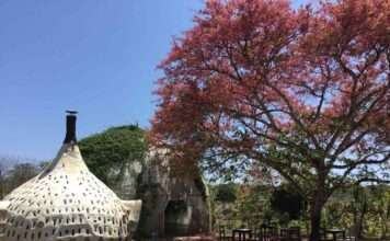 4월은 지구의 달, 자연을 온 몸으로 느끼는 전세계 에어비앤비 숙소 5