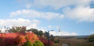 Unveiling Seoul’s Enigmatic Heights: Namsan Mountain