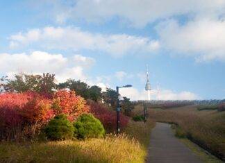 Unveiling Seoul’s Enigmatic Heights: Namsan Mountain