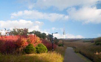 Unveiling Seoul’s Enigmatic Heights: Namsan Mountain