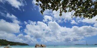 희귀한 야자수로 가득한 프랄린 섬엔 에덴의 동산이 있었다.