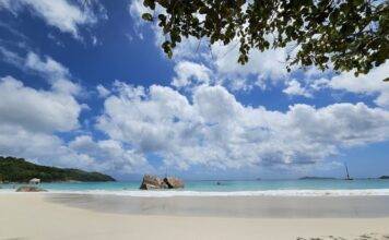 희귀한 야자수로 가득한 프랄린 섬엔 에덴의 동산이 있었다.