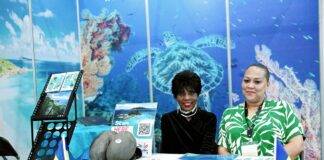 Insights and Future Directions for Seychelles Tourism in the Korean Market