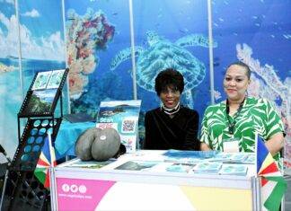 Insights and Future Directions for Seychelles Tourism in the Korean Market
