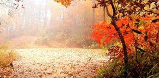 On an autumn day at Bulilam