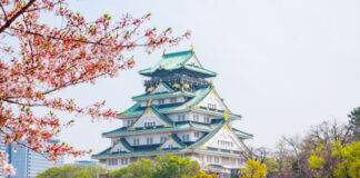 모두투어 ‘2025 일본은 지금, 벚꽃 만끽’ 기획전 출시