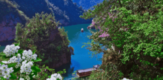 모두투어, 취향 따라 즐기는 맞춤형 중국 봄 여행 기획전 출시
