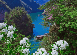 모두투어, 취향 따라 즐기는 맞춤형 중국 봄 여행 기획전 출시