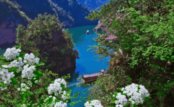 모두투어, 취향 따라 즐기는 맞춤형 중국 봄 여행 기획전 출시