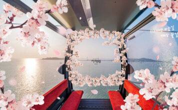 새로워진 하늘길로 봄을 알리다… 제부도해상케이블카 서해랑, 봄맞이 리뉴얼 진행