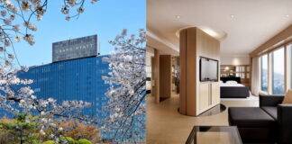 벚꽃보러 남산가자!  그랜드 하얏트 서울 호텔에서 즐기는  싱그러운 봄내음을 가득 담은 봄캉스