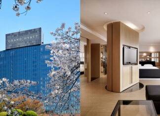 벚꽃보러 남산가자! 그랜드 하얏트 서울 호텔에서 즐기는 싱그러운 봄내음을 가득 담은 봄캉스