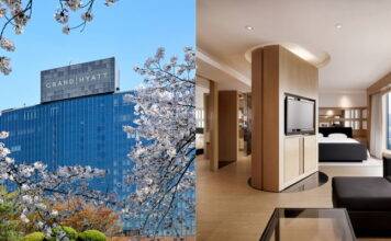 벚꽃보러 남산가자! 그랜드 하얏트 서울 호텔에서 즐기는 싱그러운 봄내음을 가득 담은 봄캉스