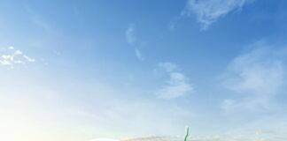 에미레이트 항공, A350 신규 도입으로 7개 노선 확대