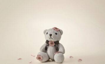 신라스테이, 벚꽃 여행객 사로잡는 패키지 출시