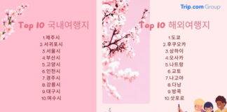 트립닷컴, 봄철 예약 데이터 공개 “국내 여행자들, 봄꽃 기간 ‘이곳’ 가장 많이 찾는다”