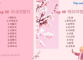 트립닷컴, 봄철 예약 데이터 공개 “국내 여행자들, 봄꽃 기간 ‘이곳’ 가장 많이 찾는다”