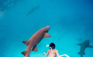 하나투어X고고다이브, 다이빙 강사와 떠나는 밍글링 투어 선봬