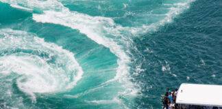 일본 시코쿠의 보물, 소도시 ‘도쿠시마’를 즐기는 6가지 방법 소개