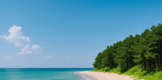 여기어때 쓰봉크럽 “속초를 지속가능하게 만드는 친환경 여행 떠나요”