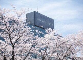 서울의 봄, 남산에서 피어나다 그랜드 하얏트 서울, 꽃길 따라 시작되는 도심 속 힐링