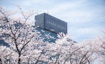 서울의 봄, 남산에서 피어나다 그랜드 하얏트 서울, 꽃길 따라 시작되는 도심 속 힐링