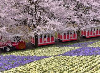 에어서울, 3월 31일 요나고 증편 운항∙∙∙첫편 탑승률 99%