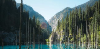 알마티를 걷다 – 카자흐스탄, 서울에서 문을 열다