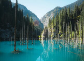 알마티를 걷다 – 카자흐스탄, 서울에서 문을 열다