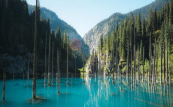 알마티를 걷다 – 카자흐스탄, 서울에서 문을 열다