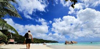 프랄린의 하루 – 코코드메르 숲과 바다 끝의 빛