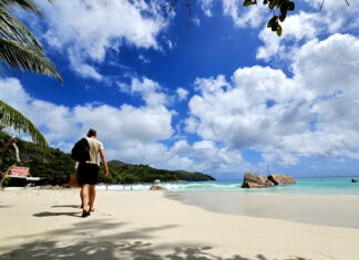 프랄린의 하루 – 코코드메르 숲과 바다 끝의 빛