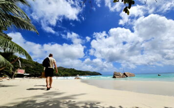 프랄린의 하루 – 코코드메르 숲과 바다 끝의 빛