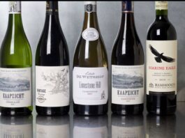 《한 잔의 여행, 세계의 와인》