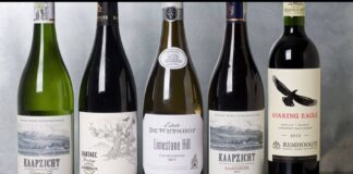 《한 잔의 여행, 세계의 와인》