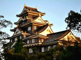 오카야마가 던진 질문, 항공사 입장에서 본 일본 소도시 노선의 현실