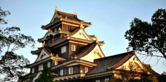 오카야마가 던진 질문, 항공사 입장에서 본 일본 소도시 노선의 현실