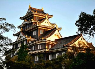 오카야마가 던진 질문, 항공사 입장에서 본 일본 소도시 노선의 현실