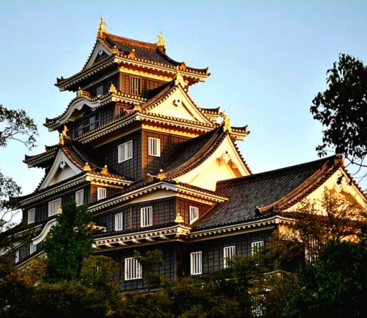 오카야마가 던진 질문, 항공사 입장에서 본 일본 소도시 노선의 현실