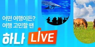 하나투어 ‘하나LIVE’, 지난해 누적 방문자 2,200만 명 기록