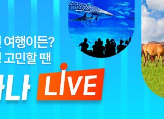 하나투어 ‘하나LIVE’, 지난해 누적 방문자 2,200만 명 기록