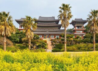 호텔스닷컴, 국내 봄 여행 검색 65% 급증…‘벚꽃 여행 가이드’ 공개