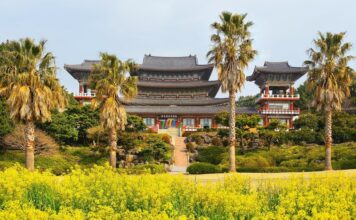 호텔스닷컴, 국내 봄 여행 검색 65% 급증…‘벚꽃 여행 가이드’ 공개