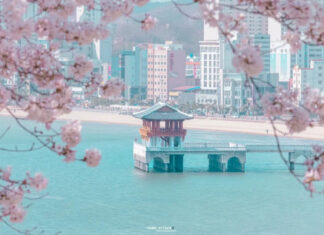 라한호텔 포항, 봄 맞아 드라마 촬영지 잇는 여행 코스 제안