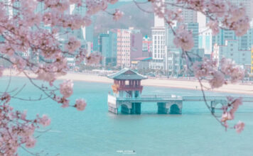 라한호텔 포항, 봄 맞아 드라마 촬영지 잇는 여행 코스 제안