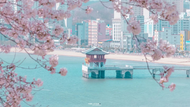 1028147215_20260303084730_8621383118