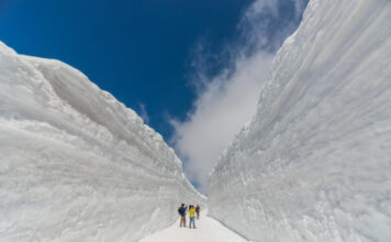 4~6월, 1년에 단 두 달만 개방… 최대 20m ‘눈의 대계곡’ 설벽 체험